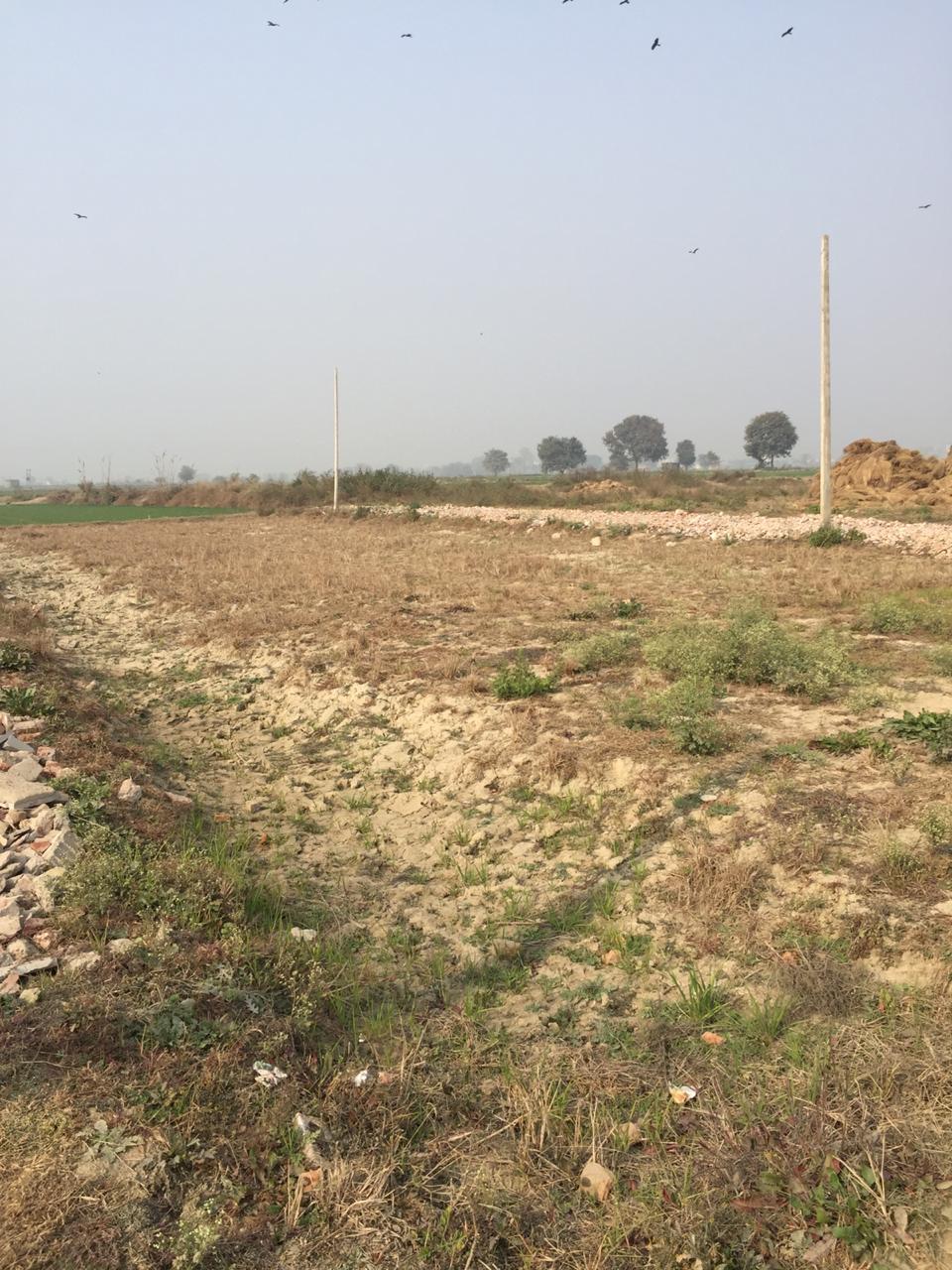 Plot For Sale in Sector 142