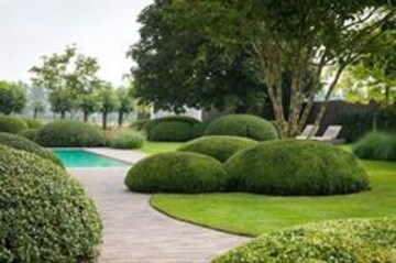  Plot – Garden View at Ringnodiya - for Sale