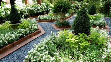  Plot – Garden View at Ringnodiya - for Sale