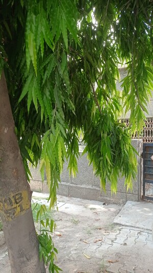  Plot – Exterior View View at Meera Bagh - for Sale