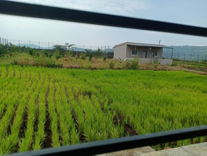  Plot – Garden View at Hinjewadi - for Sale