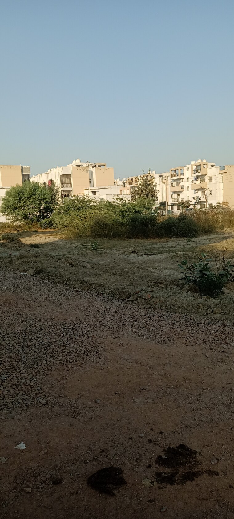 undefined, sector 78  160 Sq.Yd. Plot In Sector 78 Faridabad 8793481