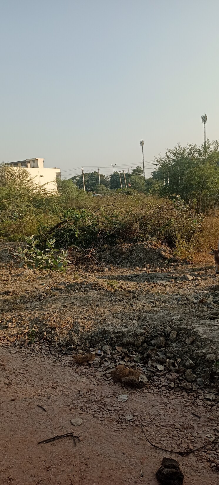 undefined, sector 78  160 Sq.Yd. Plot In Sector 78 Faridabad 8793481