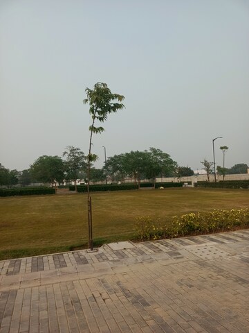 Plot Area in  Plot at Sector 78 – for Sale