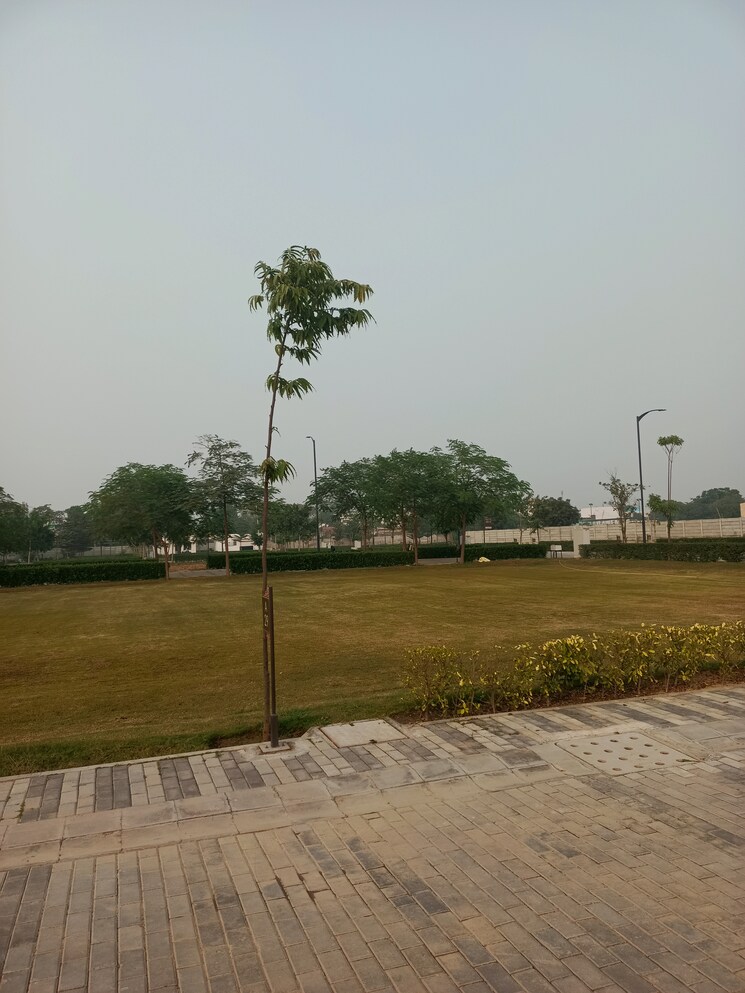 undefined, sector 78  160 Sq.Yd. Plot In Sector 78 Faridabad 8793481