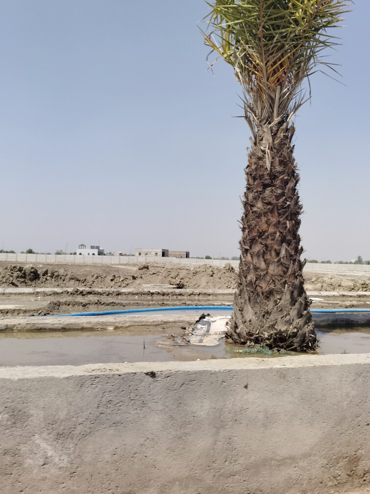 Exterior View, vrindavan  210 Sq.Yd. Plot In Vrindavan Mathura 8793469