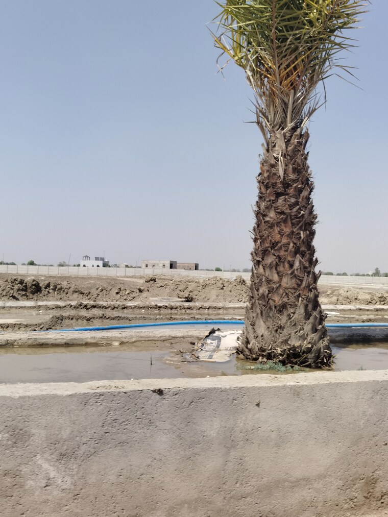 Exterior View, vrindavan  210 Sq.Yd. Plot In Vrindavan Mathura 8793469