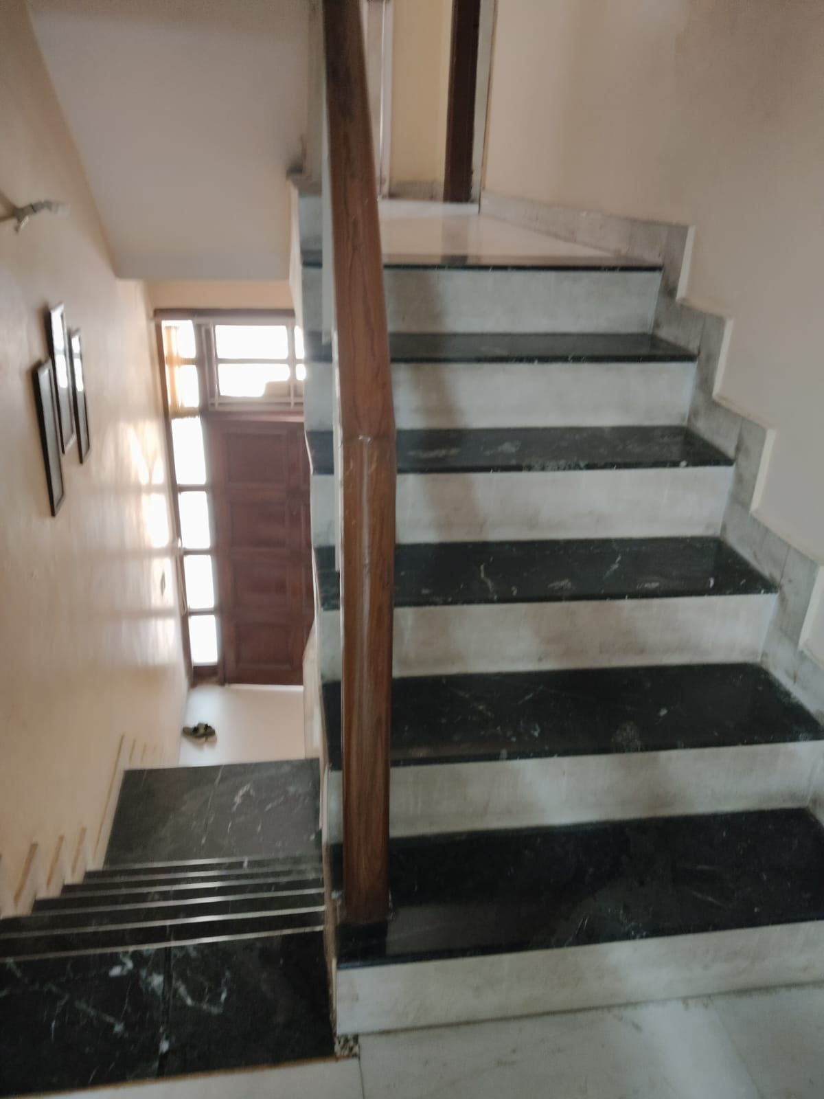 6+ BHK + Pooja Room,Servant Room,Study Room,Extra Room Independent House For Sale in Sector 55