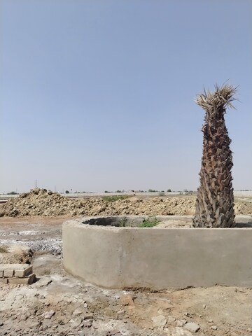 Plot Area in  Plot at Chhatikara – for Sale