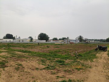 Plot Area in  Plot at Shadnagar – for Sale