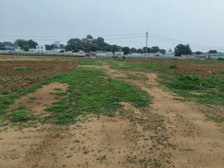 undefined, shadnagar  242 Sq.Yd. Plot In Shadnagar Hyderabad 8793873