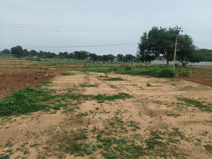 undefined, shadnagar  242 Sq.Yd. Plot In Shadnagar Hyderabad 8793873