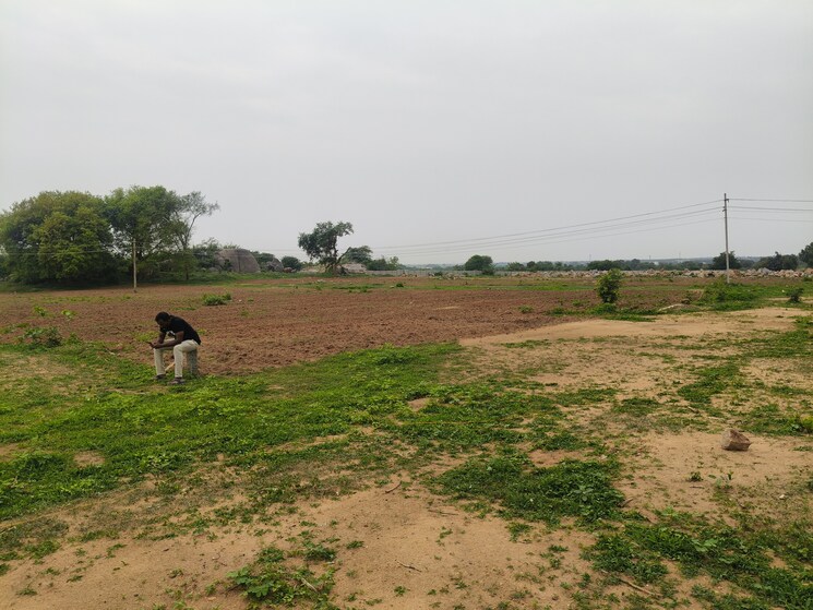 undefined, shadnagar  242 Sq.Yd. Plot In Shadnagar Hyderabad 8793873