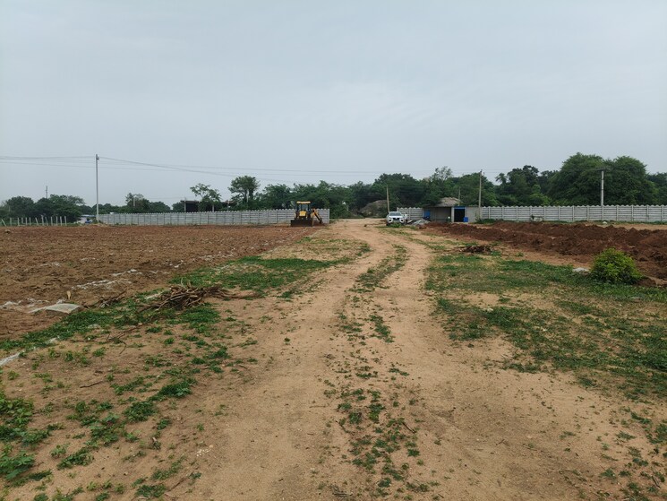 undefined, shadnagar  242 Sq.Yd. Plot In Shadnagar Hyderabad 8793873