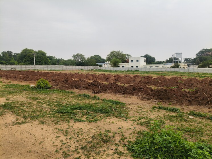 undefined, shadnagar  242 Sq.Yd. Plot In Shadnagar Hyderabad 8793873