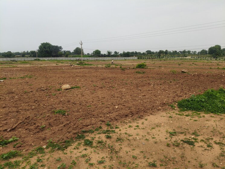 undefined, shadnagar  242 Sq.Yd. Plot In Shadnagar Hyderabad 8793873