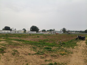 Plot Area in  Plot at Shadnagar – for Sale
