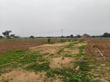 Plot Area in  Plot at Shadnagar – for Sale