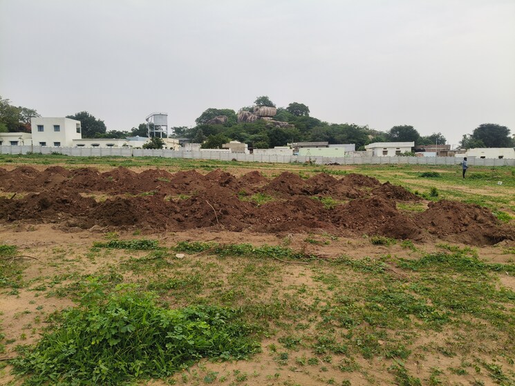 undefined, shadnagar  242 Sq.Yd. Plot In Shadnagar Hyderabad 8793873