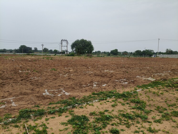undefined, shadnagar  242 Sq.Yd. Plot In Shadnagar Hyderabad 8793873