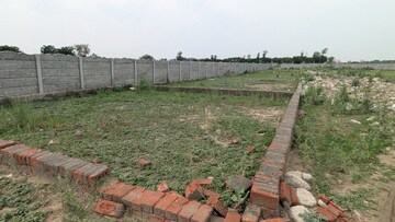 Plot Area in  Plot at Sector 137 – for Sale