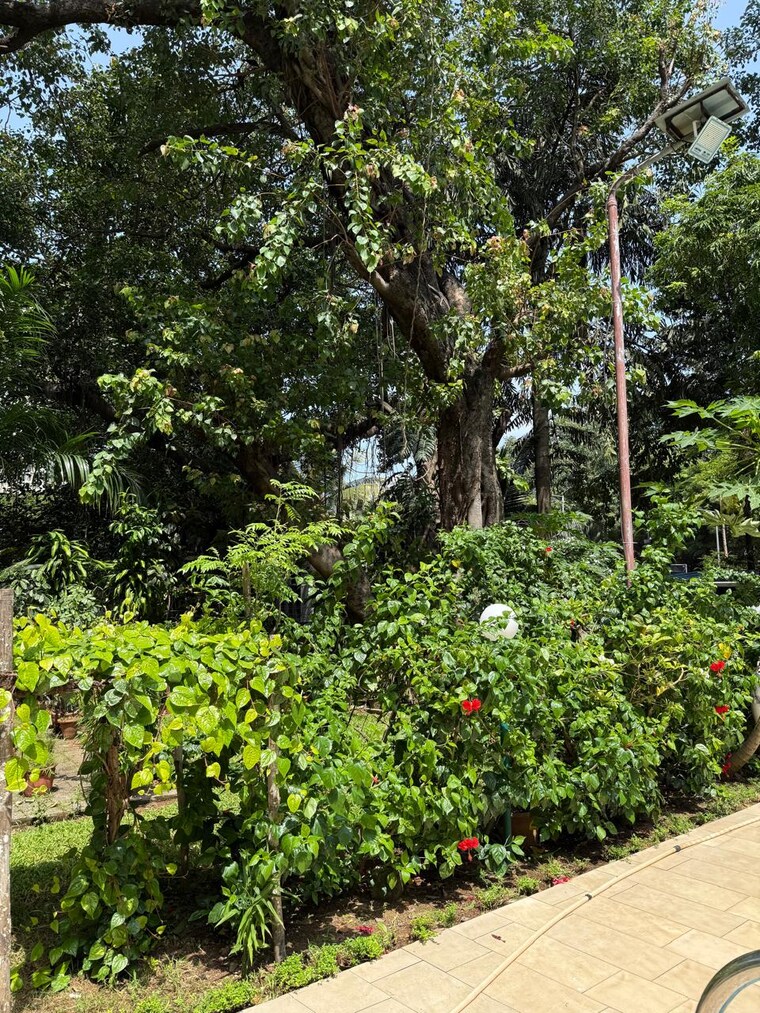 Garden, harbour-heights 1 Bedroom 644 Sq.Ft. Apartment In Colaba Mumbai 8793895