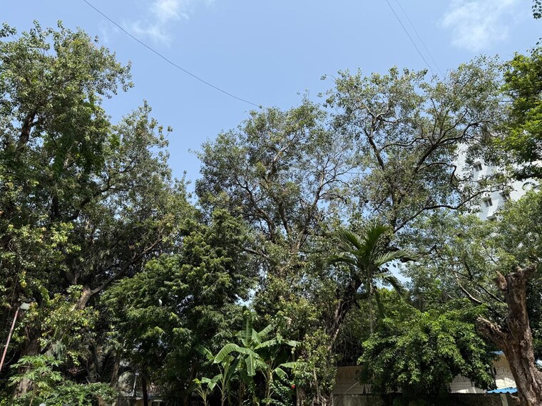 Garden, harbour-heights 1 Bedroom 644 Sq.Ft. Apartment In Colaba Mumbai 8793895