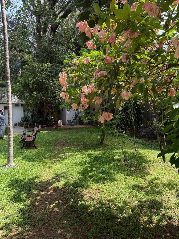 Garden, harbour-heights 1 Bedroom 644 Sq.Ft. Apartment In Colaba Mumbai 8793895