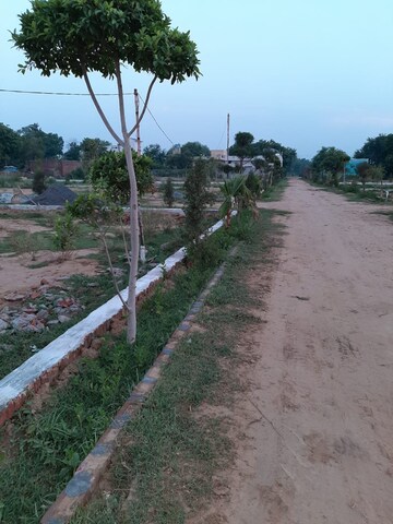Plot Area in  Plot at Sector 167 – for Sale