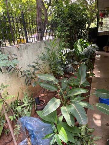 3 BHK Independent House – Garden View at Hrbr Layout - for Sale