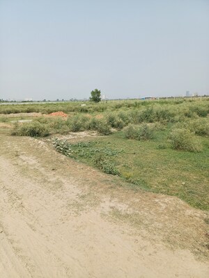  Plot For Sale in Dheeraj Nagar