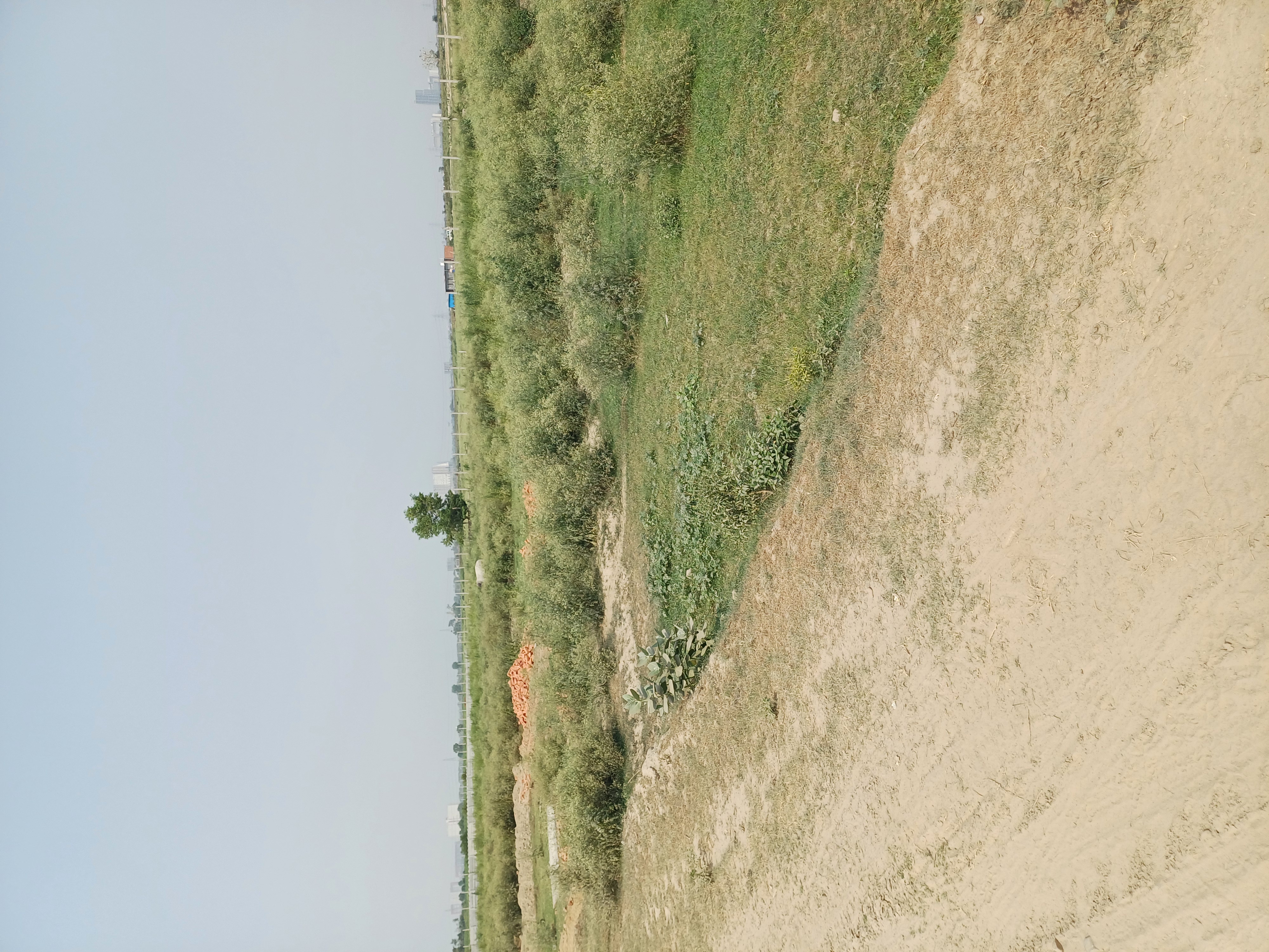 Plot For Sale in Jay Guru Ji Property 
