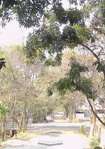  Plot – Exterior View View at Tejaswini Nagar - for Sale