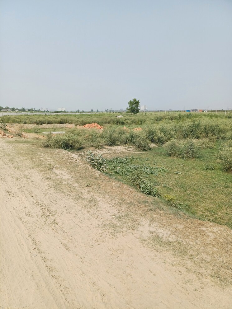 undefined, dheeraj nagar  66 Sq.Yd. Plot In Dheeraj Nagar Faridabad 8794155