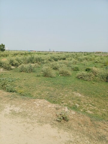  Plot – Garden View at Dheeraj Nagar - for Sale