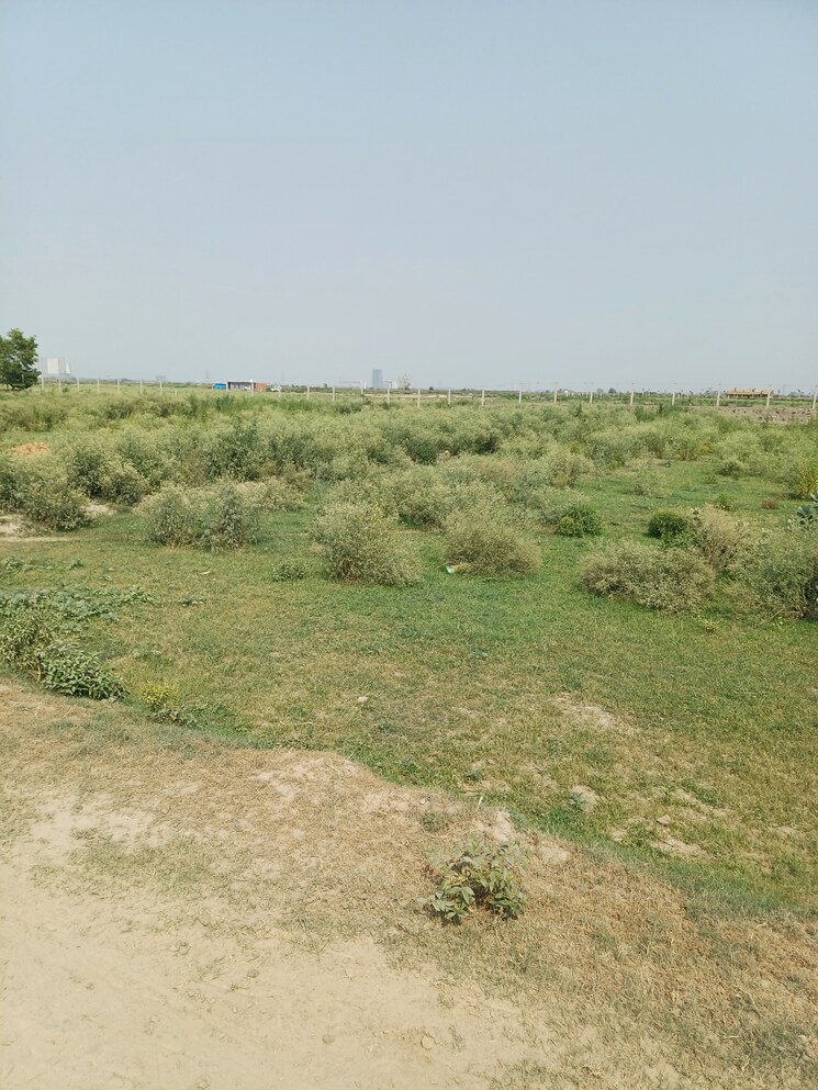 Garden, dheeraj nagar  67 Sq.Yd. Plot In Dheeraj Nagar Faridabad 8794198