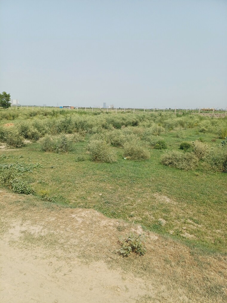 Garden, dheeraj nagar  67 Sq.Yd. Plot In Dheeraj Nagar Faridabad 8794198