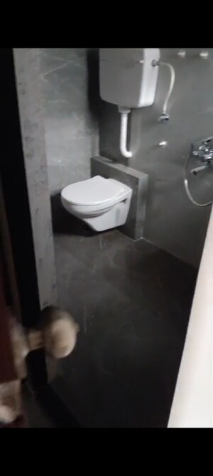 Bathroom in 1 BHK Apartment at Audrey Avenue, Morya Nagar – for Sale