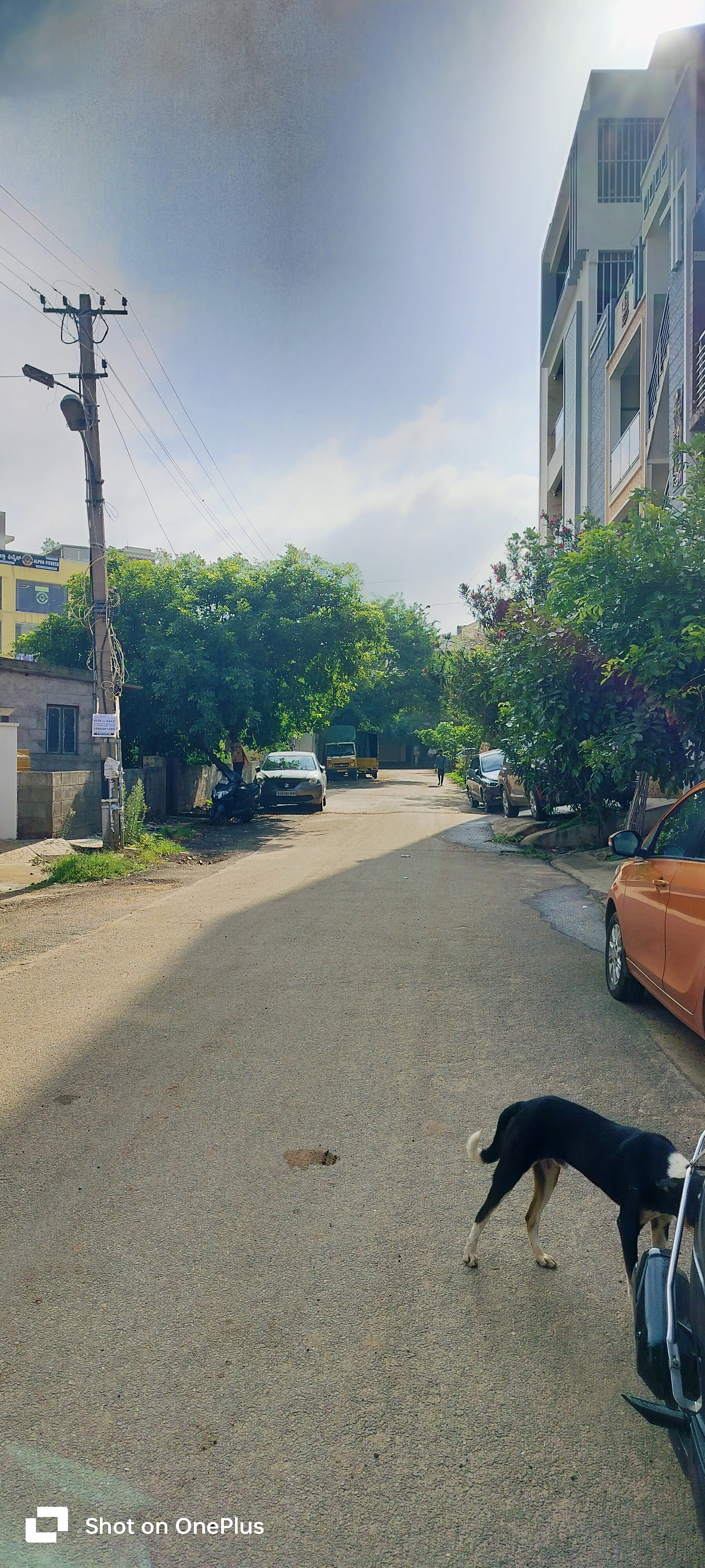 Plot For Sale in Aecs Layout 