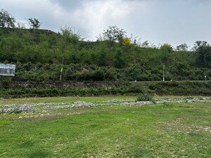 Plot Area in  Plot at Chandrabani – for Sale