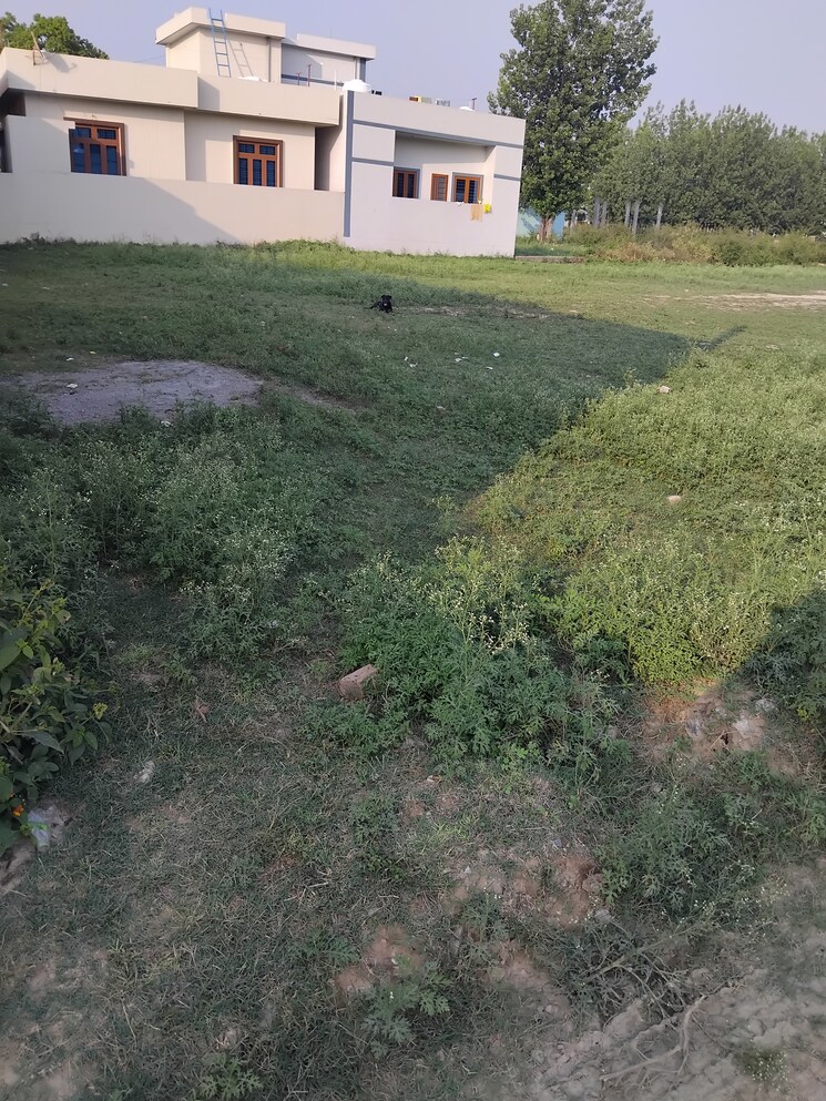 Garden, prem nagar  120 Sq.Yd. Plot In Prem Nagar Dehradun 8794778