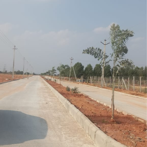  Plot For Sale in Fortune 18, Amangal
