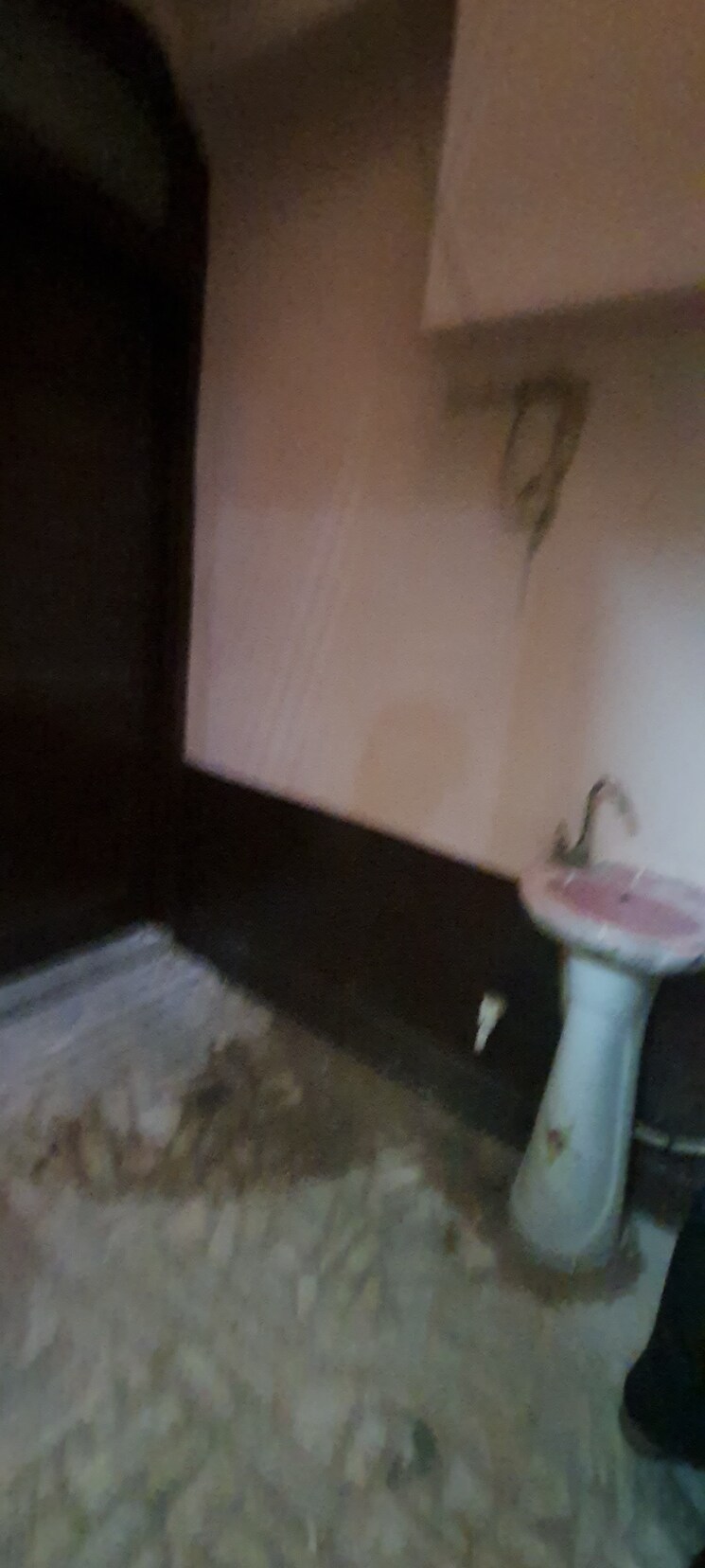 undefined, chawla colony ballabgarh 2.5 Bedroom 100 Sq.Ft. Independent House In Chawla Colony Ballabgarh Faridabad 8794960