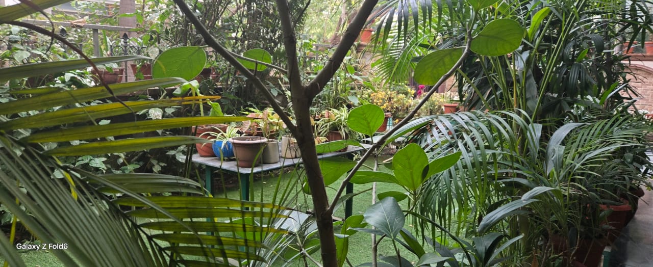 Plot For Sale in South City 1