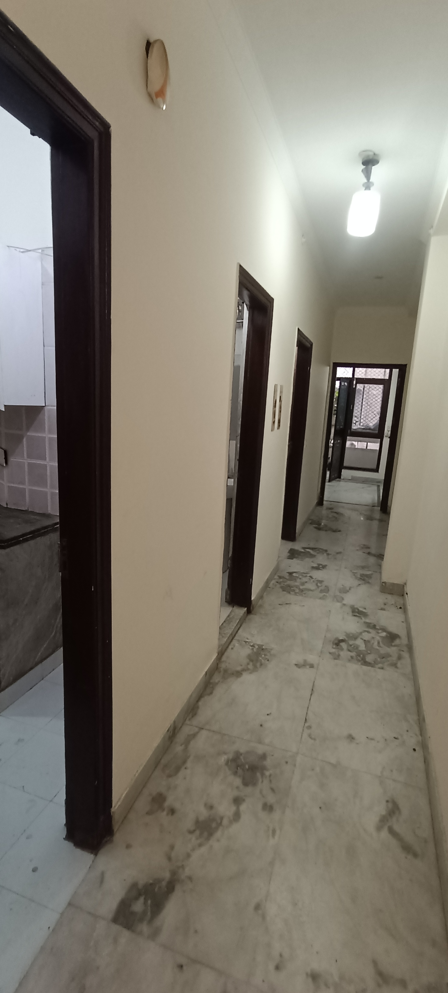 2.5 BHK + Study Room Builder Floor For Rent in Kalkaji