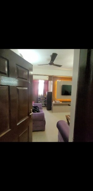 Living Room in 3 BHK Apartment at Amrapali Golf Homes, Sector 4 Greater Noida – for Sale