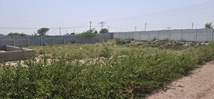 Plot Area in  Plot at Jewar – for Sale