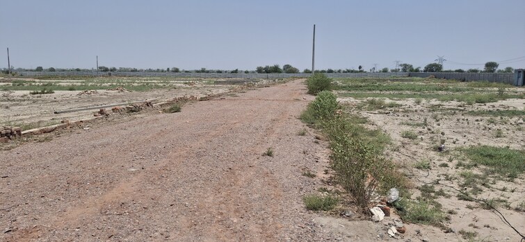 Cover Image, jewar  500 Sq.Yd. Plot In Jewar Greater Noida 8795254