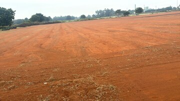 Plot Area in  Plot at Mangalagiri – for Sale