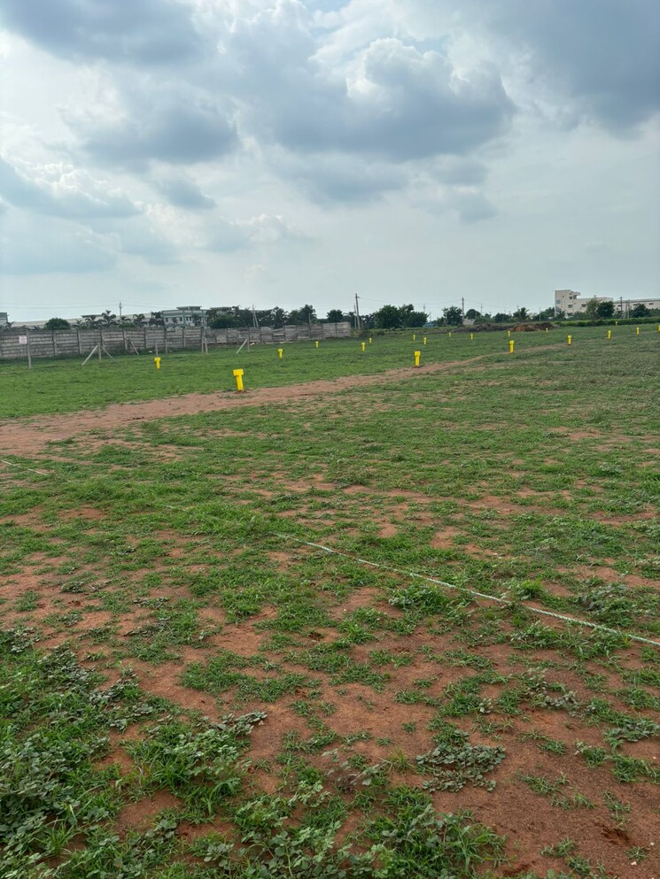 undefined, mangalagiri  241 Sq.Yd. Plot In Mangalagiri Vijayawada 8795276